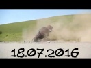 Подборка Аварий и ДТП Июль #5 18 07 2016