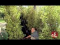 Stroller Flies Away Prank