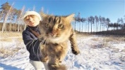 ПРИКОЛЫ С ЖИВОТНЫМИ 2018 Funny And Cute Animals Vi