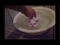 Котэ обожает принимать горячие ванны