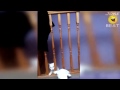 Смешные коты!!! Подборка №33, Funny cats, Прикольные, ржачные,веселые коты,кошки ,котята