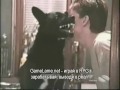 Некоторые животные ведут себя странно (4,1 мб)