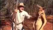 Best Funny Videos