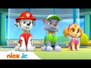 Щенячий патруль | 1 сезон 26 серия | Nick Jr. Россия