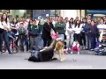 Подборка Приколов. Выпуск #15 / Funny Videos Compilation #15
