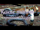 Какие тайны скрывает Улуру?