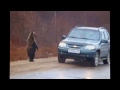 Дикие животные рядом с нами  Смотреть смешное интересное видео, приколы с животными