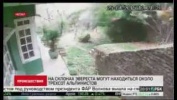 Уличные камеры засняли землетрясение в Непале Street cameras filmed the earthquake in Nepal