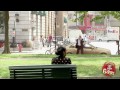 Disappearing Car Prank