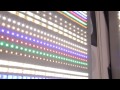 Все самое интересное с выставок !