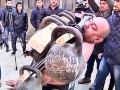 «Человек-магнит» удерживал 53 ложки (новости)