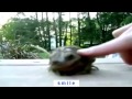 Нарезки приколов   смешно