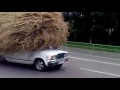 Прикол  А как он смотрит
