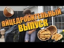 Яйцедробительные приколы