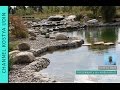 Плавательный пруд , экопруд (Ecological pond)