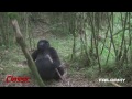 Лучшие приколы и неудачи 2013 года,Январь