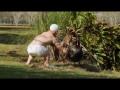 Jackass 3.5