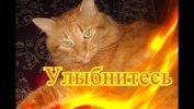 Смешное про животных Позитив Для детей Создай себе хорошее настроение