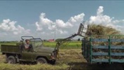 Сделано Человеком: Современный Сбор Сена