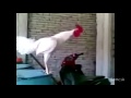 Подборка приколов с животными 2013 / Приколы с животными
