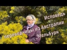 Исповедь переводчицы из Австралии