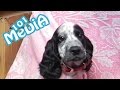 ЛУЧШИЕ ПРИКОЛЫ 2017 МАЙ | русские приколы