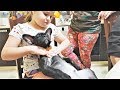 Животные Приколы 2018 Самые Смешные и Милые Видео