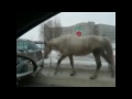 Нарезка аварий и ДТП Car Crash compilation [7] NEW!!