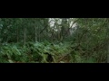 Художественный фильм Побег, полная версия фильма