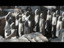 Терракотовая армия