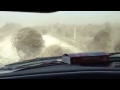 Перекати-поле