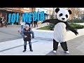 Видео с животными Приколы с животными 2018 Смешные