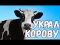 Приколы с животными 2017 Ну очень смешные животные