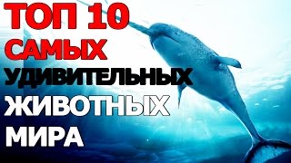 ТАЙНЫ GTA 5: СИДЖЕЙ БОМЖ ИЛИ МИЛЛИОНЕР?