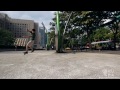 Freeline Skates are Strangely Awesome
