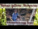 Баллада о саде