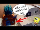 Spongebob squarepants house. Hamster house