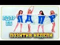 ПОЗИТИВ НЕДЕЛИ: ЛДПР ББ