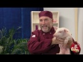 Baby Pig Fresh Pork Sausage Prank