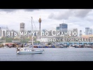 5 минут по Сиднею. Рыбный рынок.