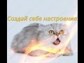 Позитив Смешное видео о животных Кошки собаки Для детей Fanny animals Создай себе настроение