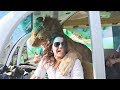 ЛЕВ В ДЕЛЕ! Чудо Зоопарк Львы добрые как КОТЯТА