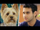 Girlfriend's Dog Vs. Boyfriend | Just for Laughs Compilation