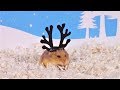 Самые милые видео про хомяков