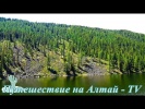 Мертвое озеро на Алтае