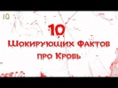 Топ 10 Шокирующих Фактов про Кровь