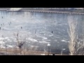 ЛУЧШИЕ ПРИКОЛЫ #246
