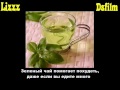 Интересные Факты (8 часть)