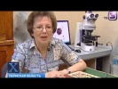 Появился Редкий Молодильный гриб Невероятное, странное и интересное видео  Удивительные факты