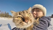 Прикольные видео с животными 2018 Милые и забавные